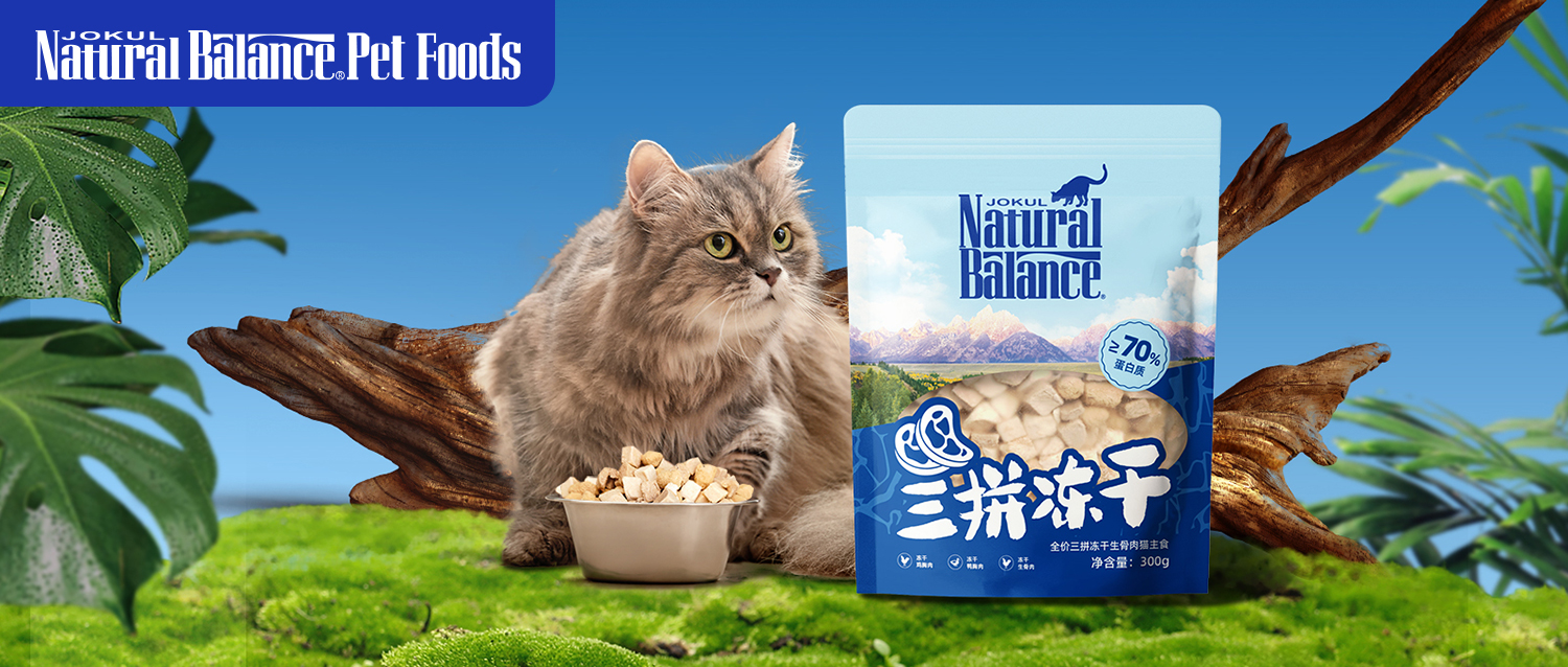 雪山寵物小課堂丨貓咪吃凍干生骨肉的好處