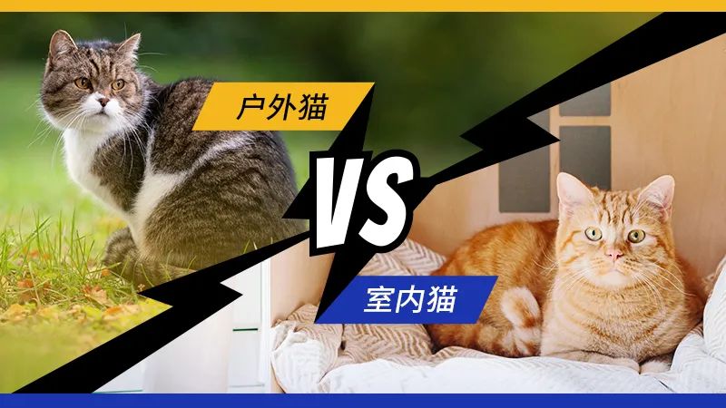 微信圖片_20230222161922.jpg 微信圖片_20230222161922.jpg